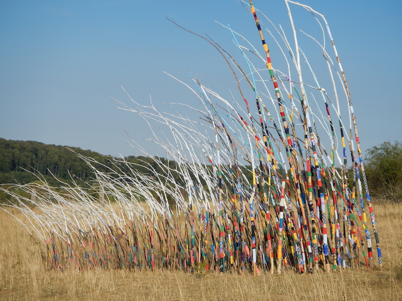 Wind Colour and White Cloud / Foto: Wilfried Krauss