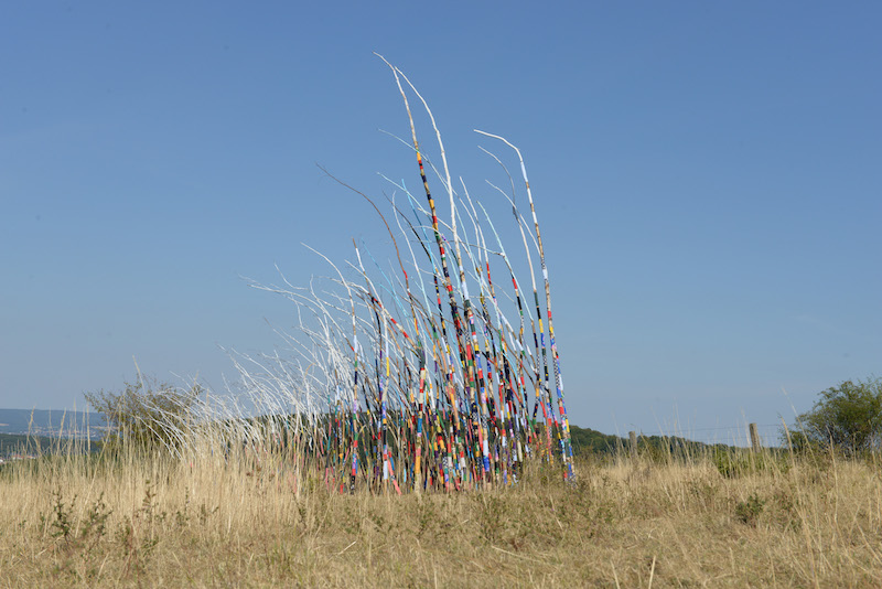 Wind Colour and White Cloud / Foto: Joachim Römer