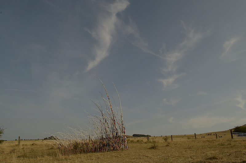 Wind Colour and White Cloud / Foto: Karin Franzisky