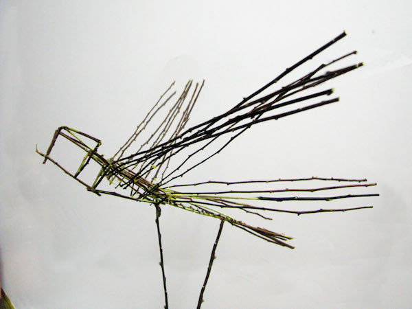 Dragon-fly modell