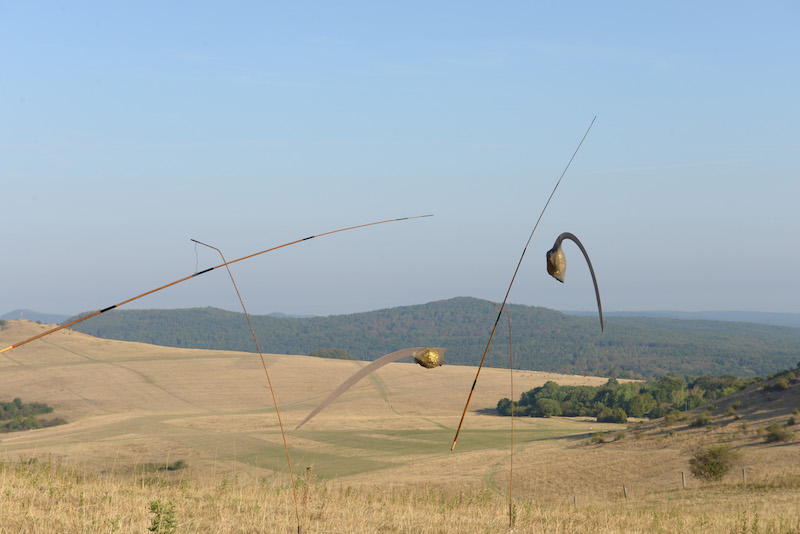 Wolkenfuge / Foto: Joachim Römer