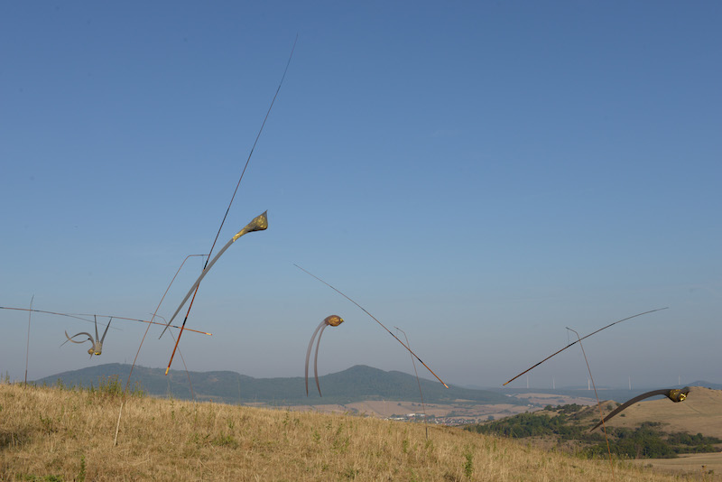 Wolkenfuge / Foto: Joachim Römer