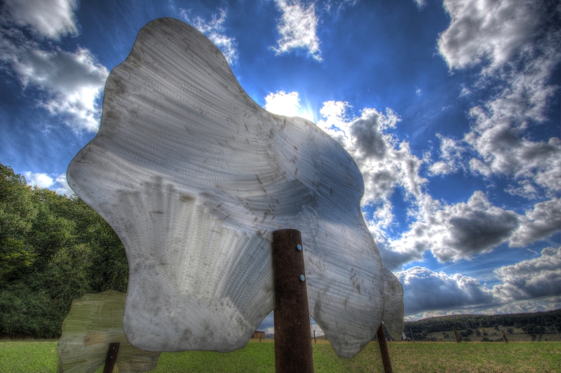 Wolkenbäume / Foto: Uwe Thon