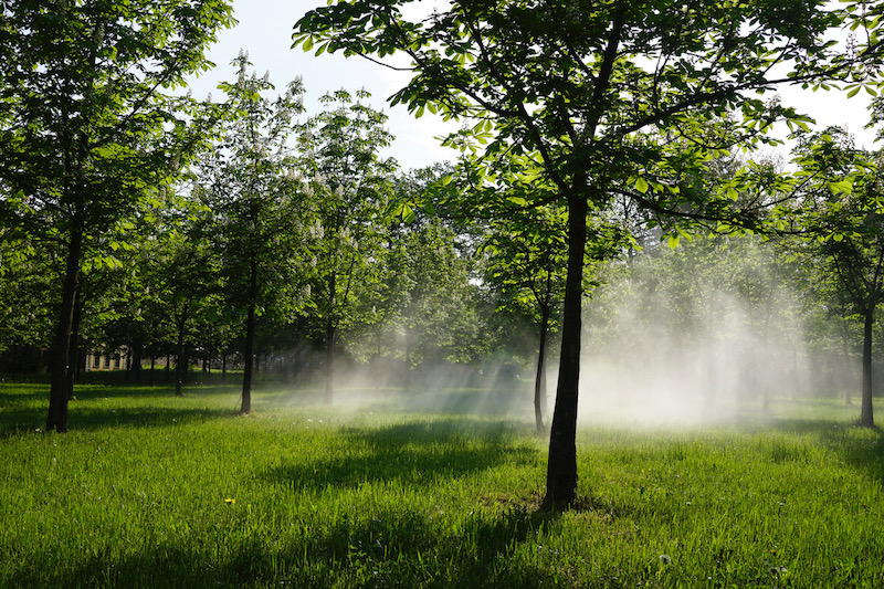 Cloud-Mead \ Nebel-Aue