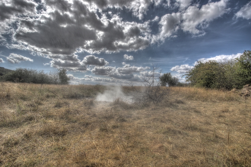 Cloud-Mead \ Nebel-Aue / Foto: Uwe Thon