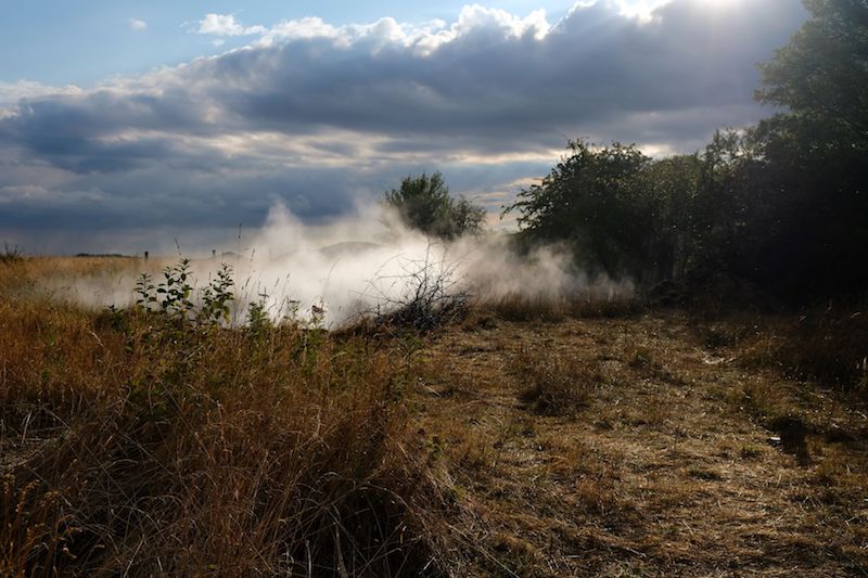 Cloud-Mead \ Nebel-Aue / Foto: Constanze Schüttoff