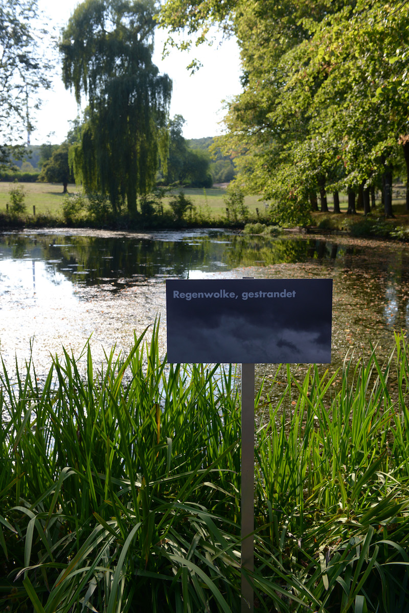 Regenwolke, gestrandet / Foto: Joachim Römer