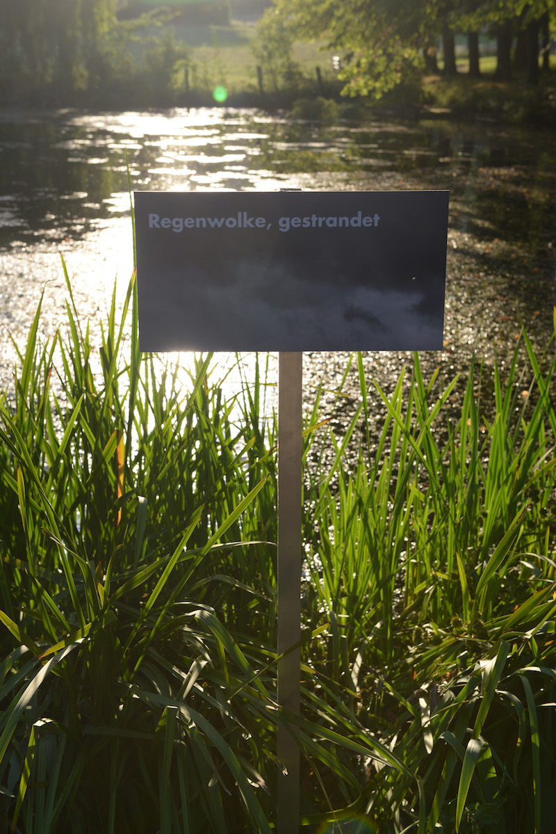 Regenwolke, gestrandet / Foto: Joachim Römer