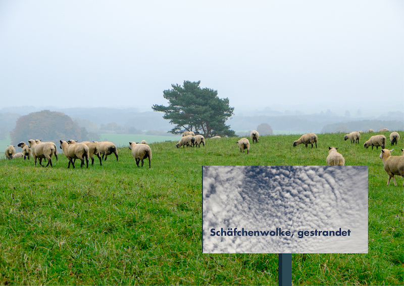 Schäfchenwolke, gestrandet